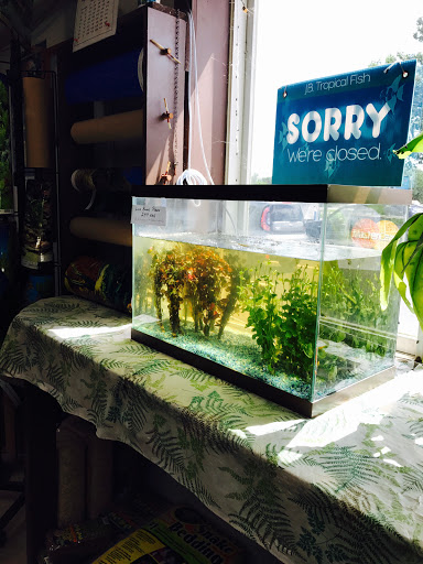 Tropical Fish Store «J B Tropical Fish», reviews and photos, 1950 N Black Horse Pike, Williamstown, NJ 08094, USA