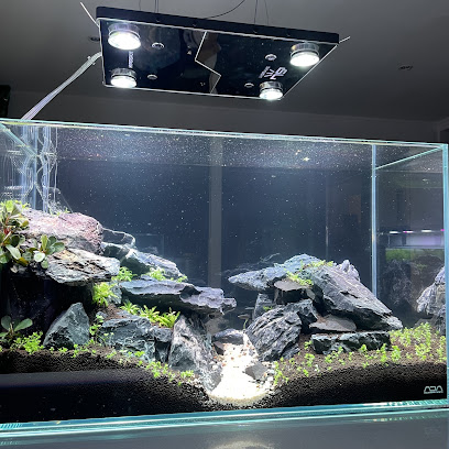 Aquascaping Charleroi (BOUTIQUE EN LIGNE UNIQUEMENT)