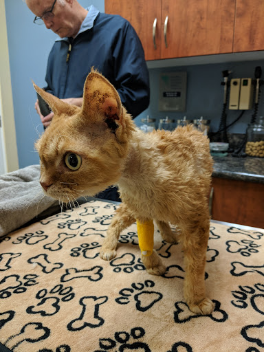 Shopping Mall «Aliso Village Shopping Center», reviews and photos, 23966 Aliso Creek Rd, Laguna Niguel, CA 92677, USA