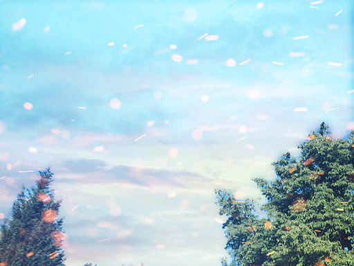 Golf Course «McKay Creek Golf Course & Driving Range», reviews and photos, 1416 NW Jackson St, Hillsboro, OR 97124, USA