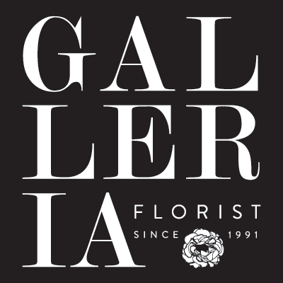 Florist «Galleria Florist», reviews and photos, 7187 Lee Hwy, Falls Church, VA 22046, USA