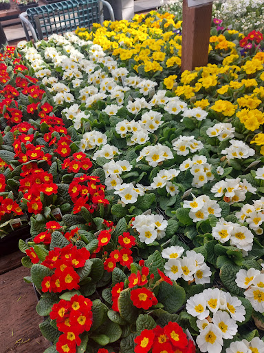 Hardware Store «Orchard Supply Hardware», reviews and photos, 2110 Middlefield Rd, Redwood City, CA 94063, USA