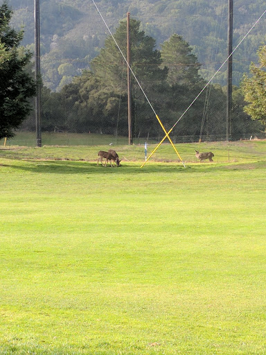 Golf Course «Crystal Springs Golf Course», reviews and photos, 6650 Golf Course Dr, Burlingame, CA 94010, USA