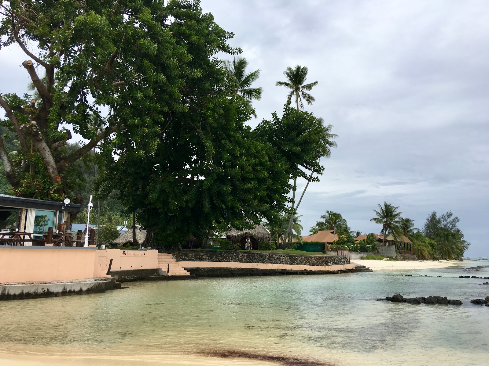 Photo de Hauru Beach - bon endroit convivial pour les animaux de compagnie pour les vacances