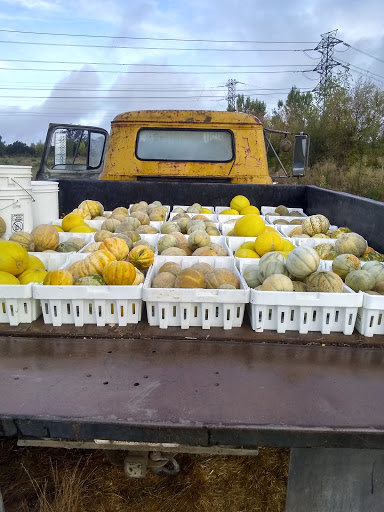 Produce Market «Green String Farm», reviews and photos, 3571 Old Adobe Rd, Petaluma, CA 94954, USA