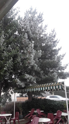 Snc Alberna à Ornex