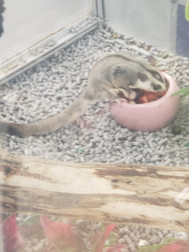 Pet Store «B & B Pet Stop, Inc.», reviews and photos, 5035 Cottage Hill Rd, Mobile, AL 36609, USA