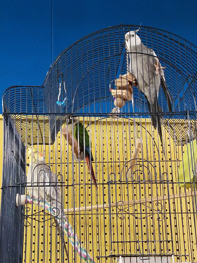 Pet Store «Tanks Pet Supply», reviews and photos, 628 S Main St, Princeton, IL 61356, USA