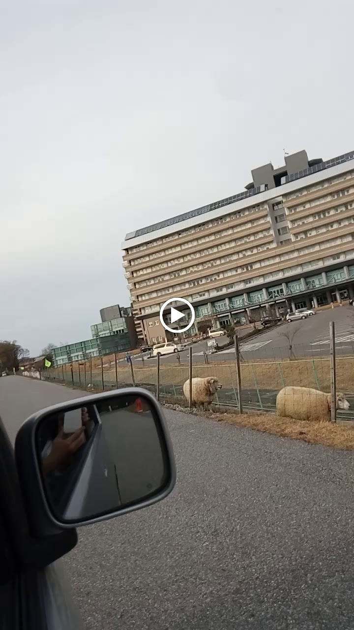 彦根市立病院駐車場