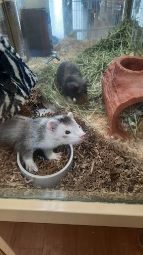 Pet Supply Store «Pet Supermarket», reviews and photos, 1800 W 68th St #140, Hialeah, FL 33014, USA