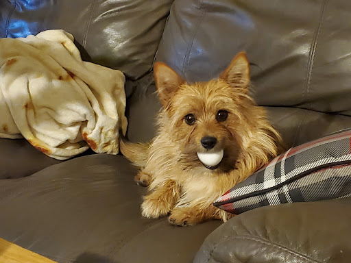 3104 Green Meadow Dr, Helena, MT 59602, USA