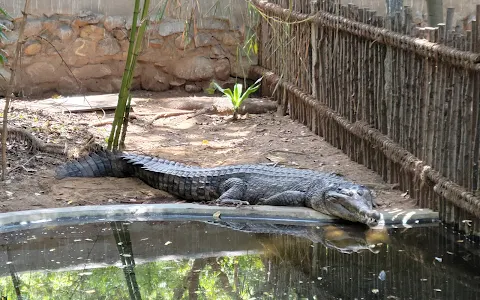 Crocodile Bank Beach image