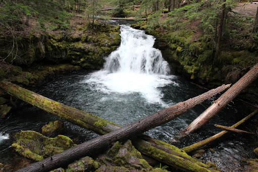 National Forest «Umpqua National Forest», reviews and photos, 1121 Houser Ct, Idleyld Park, OR 97447, USA