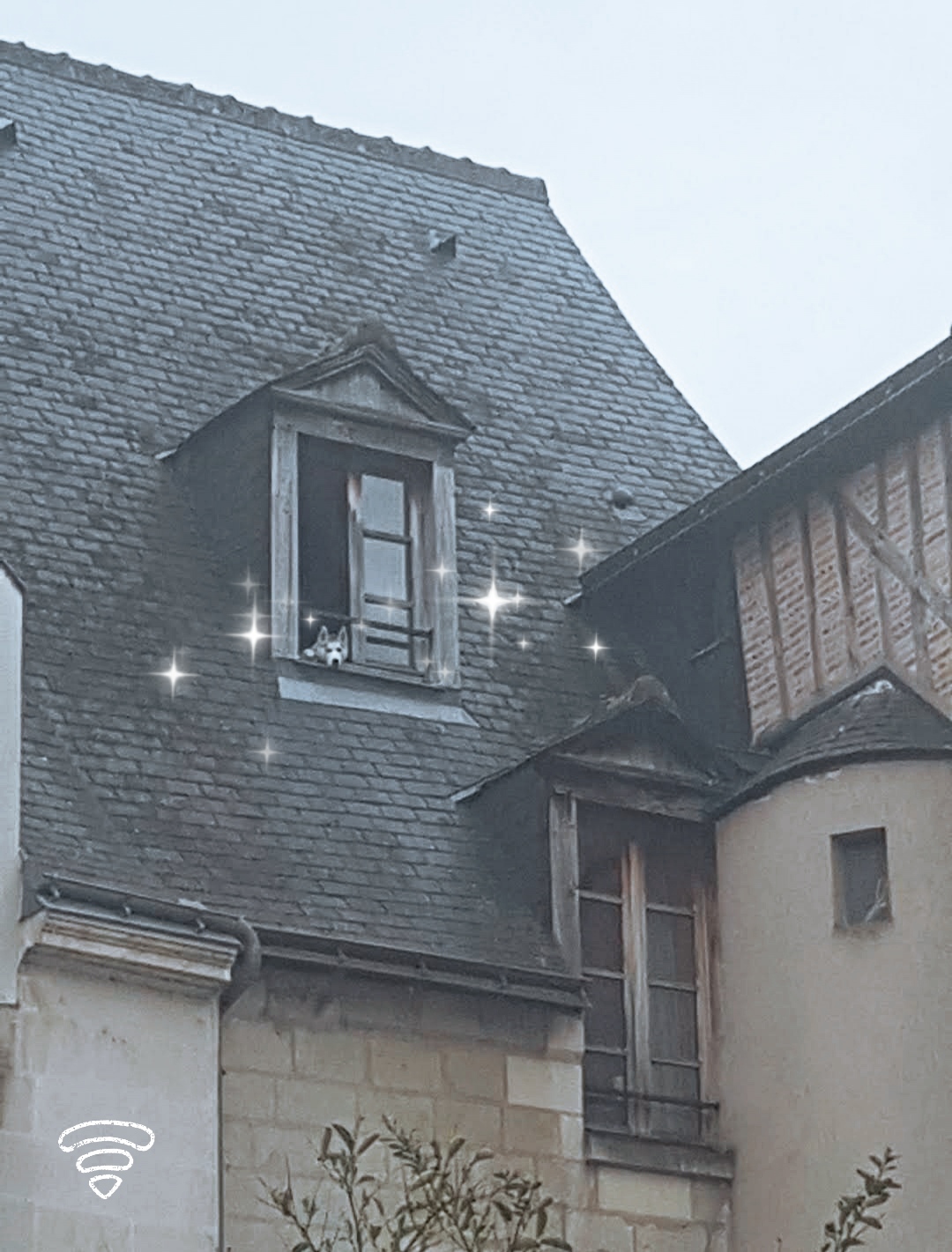 Photo n° 1 de l'avis de Pierre.o fait le 25/12/2021 à 19:23
