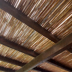 Photo n°1 de l'avis de Tommy.a fait le 20/09/2023 à 12:41 sur le  Le Dune à Chia