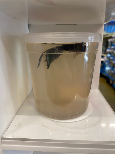 Pet Supply Store «PetSmart», reviews and photos, 12741 Towne Center Dr, Cerritos, CA 90703, USA