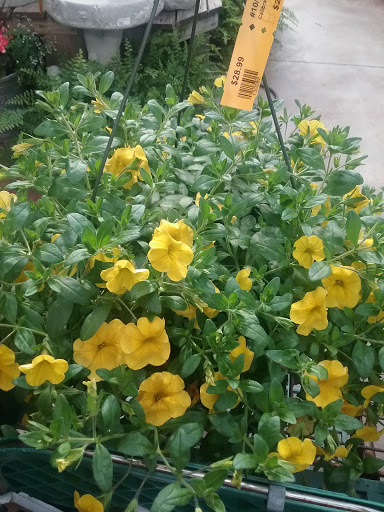 Florist «Breezewood Gardens & Gifts», reviews and photos, 17600 Chillicothe Rd, Chagrin Falls, OH 44023, USA