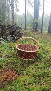 Perelozų Sentikių Kapinės