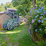 Photo n°5 de l'avis de andrea.c fait le 06/02/2022 à 21:50 sur le  Le Casette del Doccione di Migliorini Lorenzo e C. Snc à Castelluccio, Porretta Terme