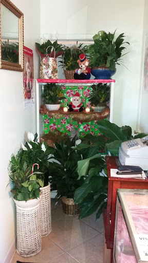 Florist «Talk of The Town Florist», reviews and photos, 38526 Co Rd 54 Suite 1, Zephyrhills, FL 33542, USA