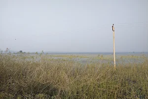 Swaroopsagar Lake image