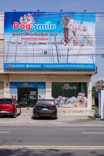 Dog smile โรงแรมหมา-แมว รับฝากสัตว์เลี้ยงหาดใหญ่