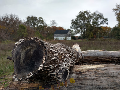 Nature Preserve «Bow in the Clouds Preserve», reviews and photos, 1805 Nazareth Rd, Kalamazoo, MI 49048, USA