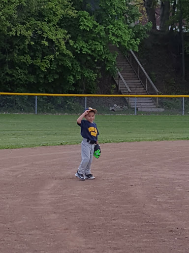 Historical Landmark «Mabel Hartzell Home», reviews and photos, 840 N Park Ave, Alliance, OH 44601, USA