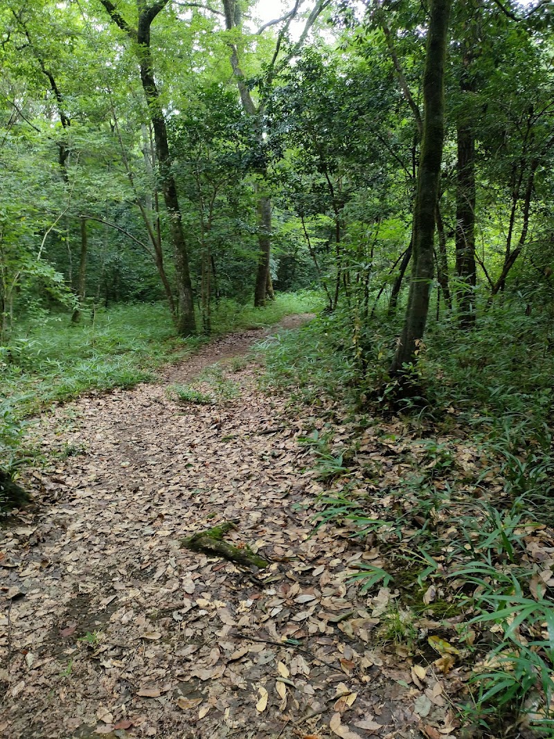 河辺いきものの森