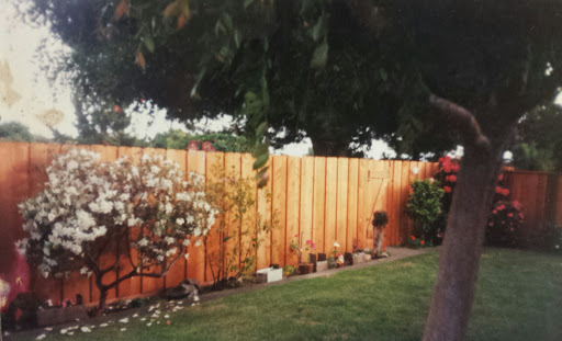 Photo of Better Built Fence Co