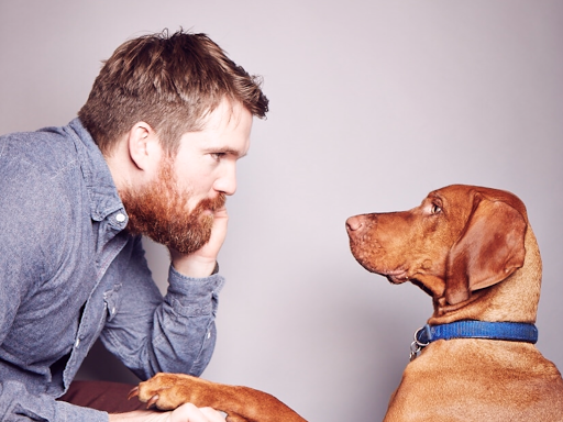 The London Dog Trainer - Dean Ashton
