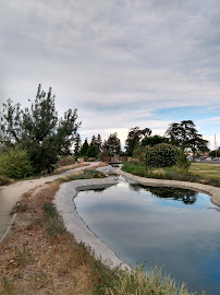 California State University, Stanislaus - Photo 6 - Car repair in Turlock, CA, Modesto