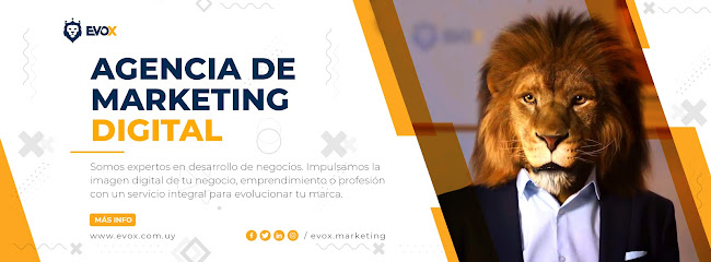 Evox - Agencia de Marketing Digital - San Ramón