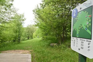 Stoney Creek Disc Golf Course image