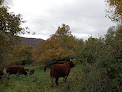 Gaec Zingaran, la bergerie chez Clovis Mornans