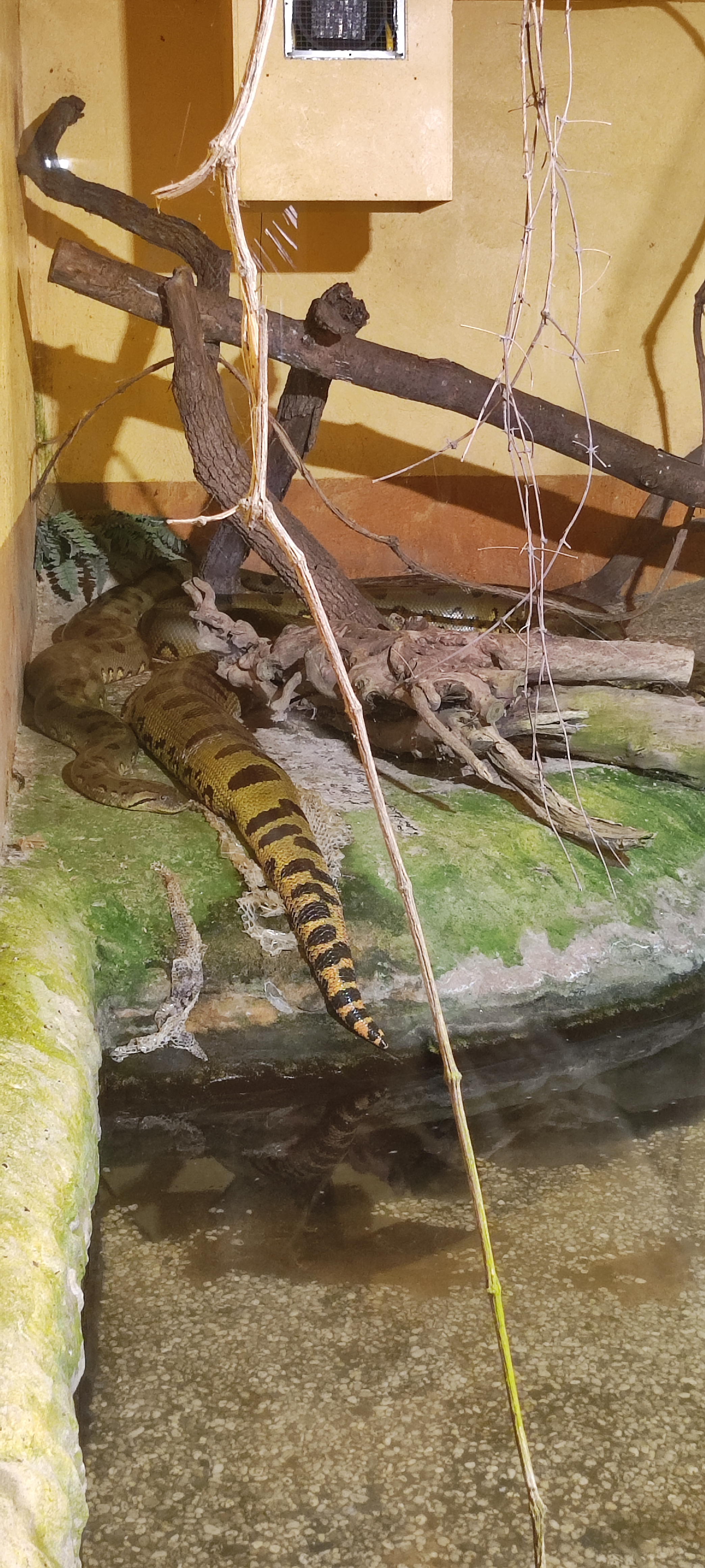 Photo n° 14 de l'avis de Yannick.o fait le 11/02/2023 à 16:29