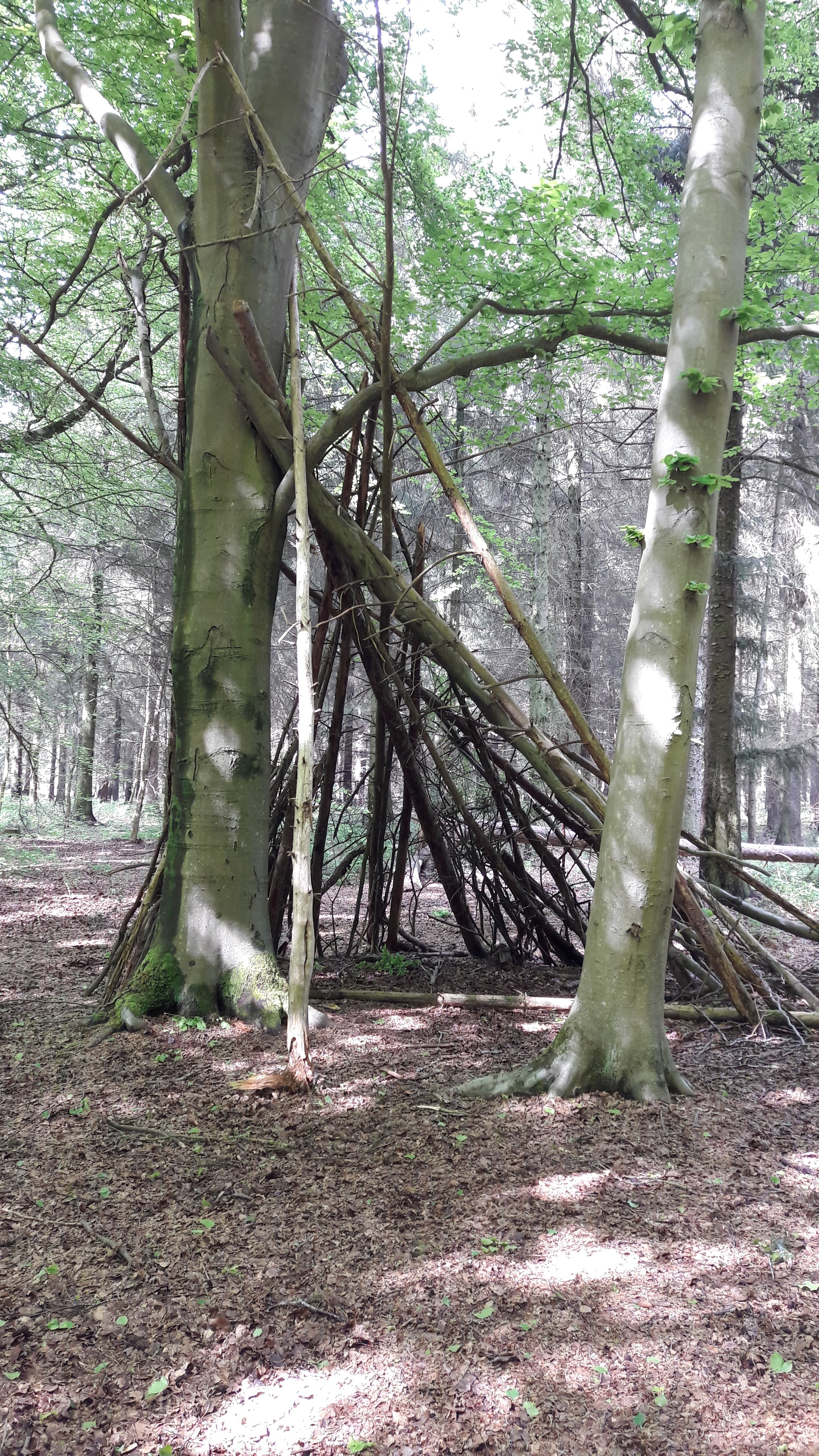 Photo n° 6 de l'avis de Lulu.o fait le 05/05/2018 à 16:53