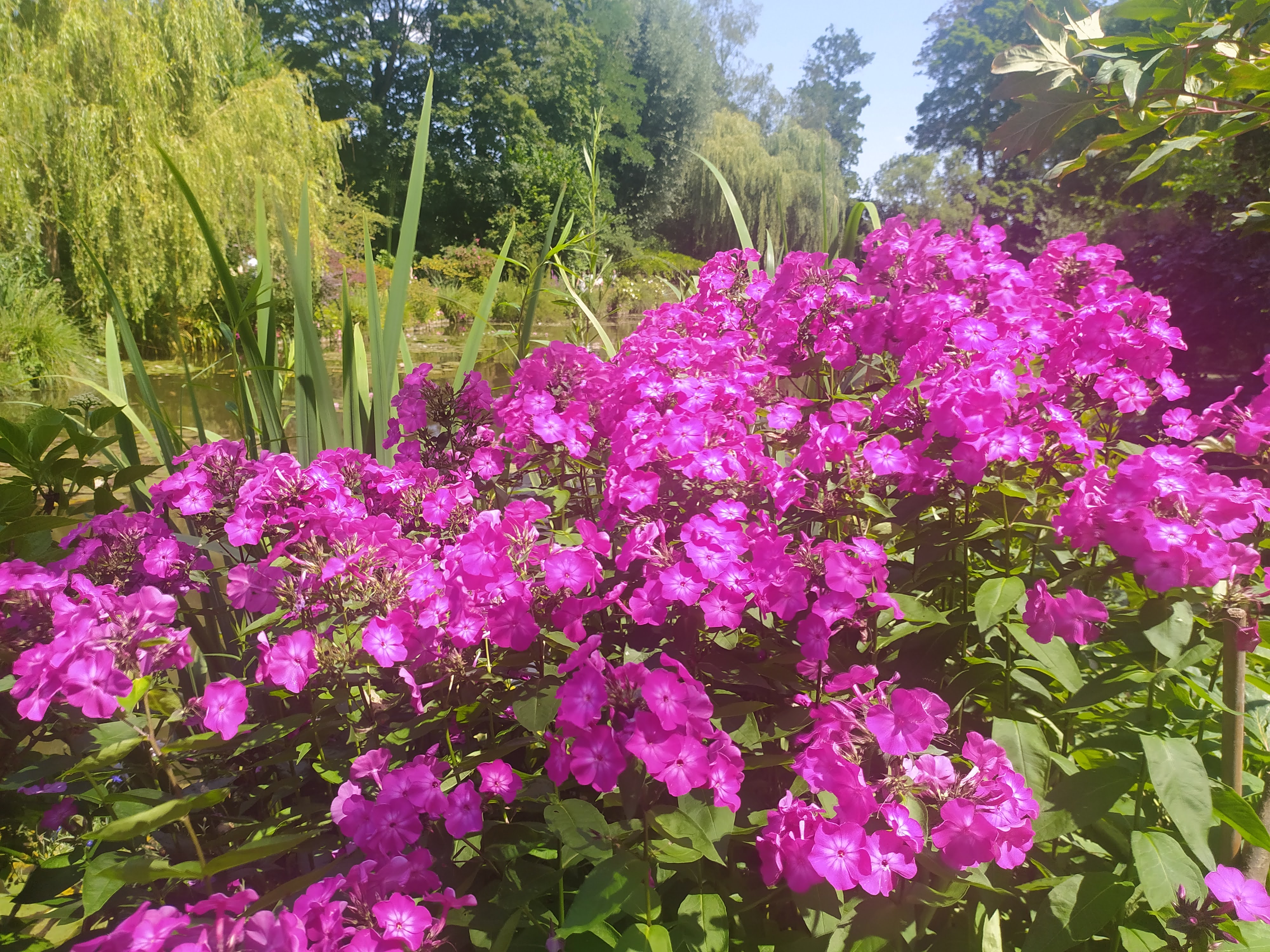 Photo n° 13 de l'avis de Farid.L fait le 21/07/2021 à 21:27