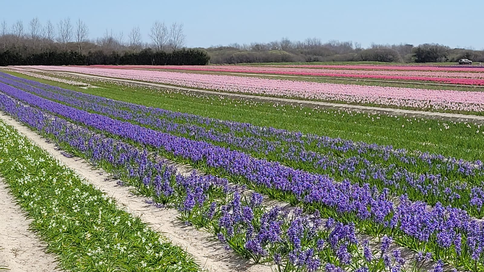 Photo n° 37 de l'avis de The.a fait le 05/04/2023 à 21:57