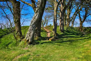 National Trust - Lisnabreeny image