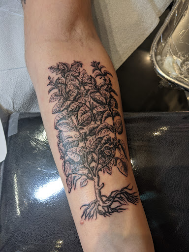 Explore tattoo ideas cute, creative tattoo ideas in Tallahassee, available at Magnolia Tattoo & Piercing Co.