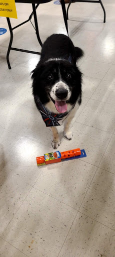 Pet Supply Store «PetSmart», reviews and photos, 3500 Ross Clark Cir, Dothan, AL 36303, USA