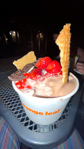 Frozen Yogurt Shop «Orange Leaf Frozen Yogurt», reviews and photos, 160 Creekside Way #502, New Braunfels, TX 78130, USA