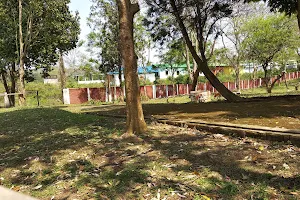 Maibang Degree College Garden image