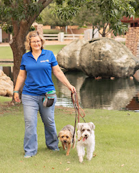 Kaleidoscope Dog Services - Photo 2 - Car repair in Gilbert, AZ, Gilbert