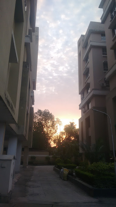 Google Maps image 18