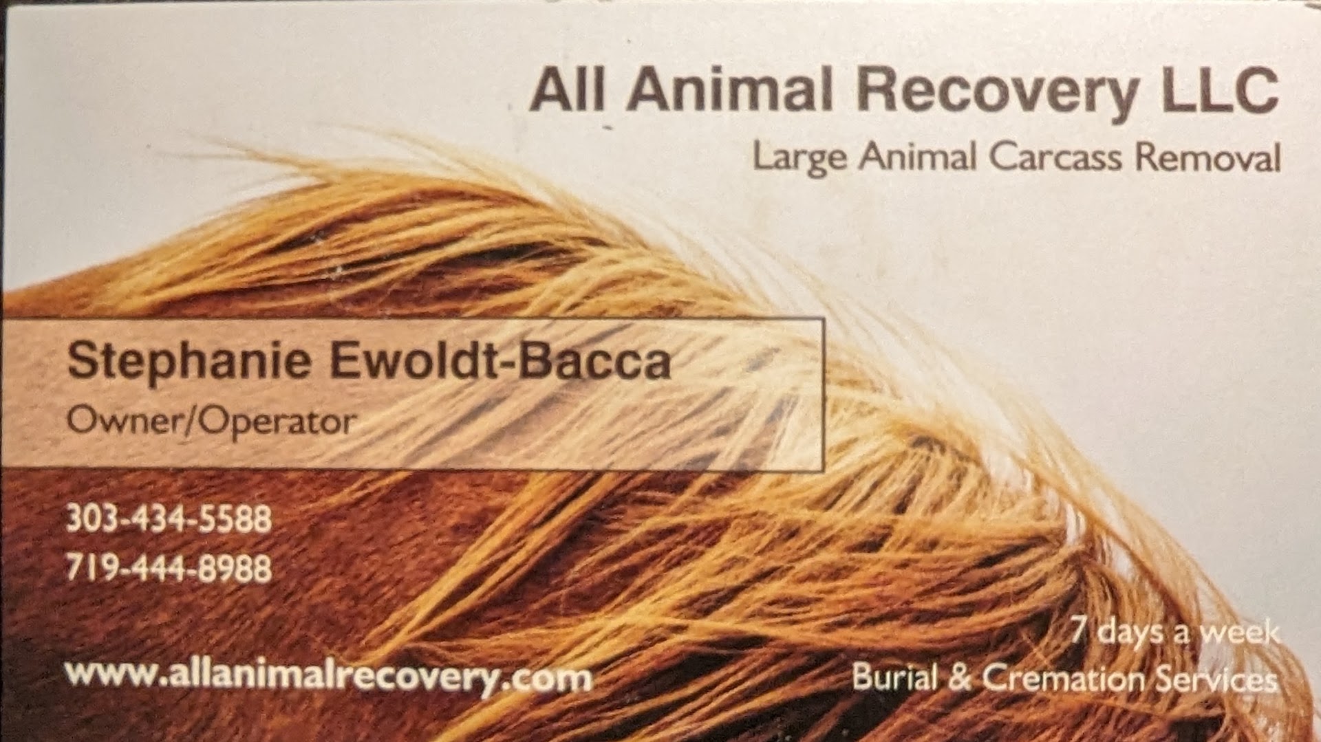 All Animal Recovery, LLC