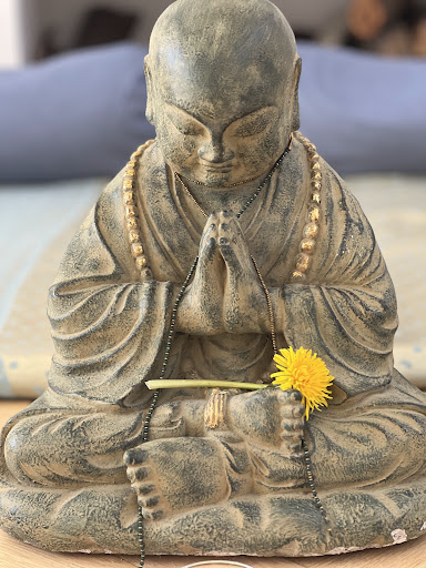 Niyama Yogacenter ApS in Jægerspris, Frederikssund