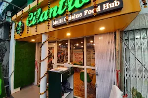 Cilantro- Multi Cuisine Food Hub image