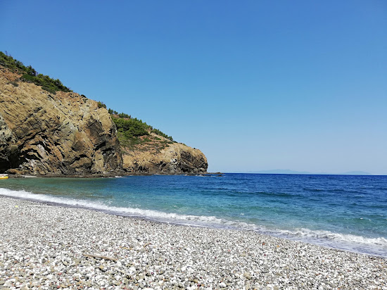 Daphnopotamos beach